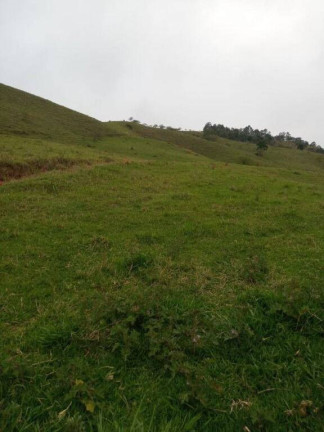 Imagem Chácara com 2 Quartos à Venda, 302.500 m² em Centro - Taubaté