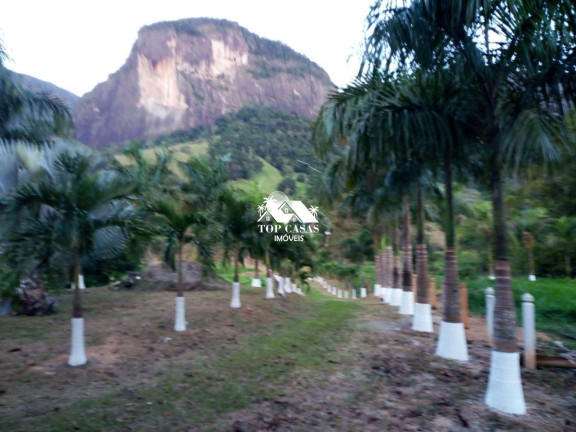 Imagem Fazenda à Venda, 96.000 m² em Serra Da Cruz - Macaé