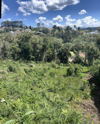 Imagem Terreno à Venda, 1.200 m² em Campos Do Jordão Imagem Terreno à Venda, 1.200 m² em Campos Do Jordão