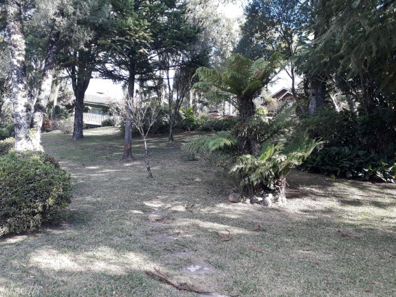 Imagem Chácara à Venda, 150 m² em Tapera Alta - Gramado Imagem Chácara à Venda, 150 m² em Tapera Alta - Gramado