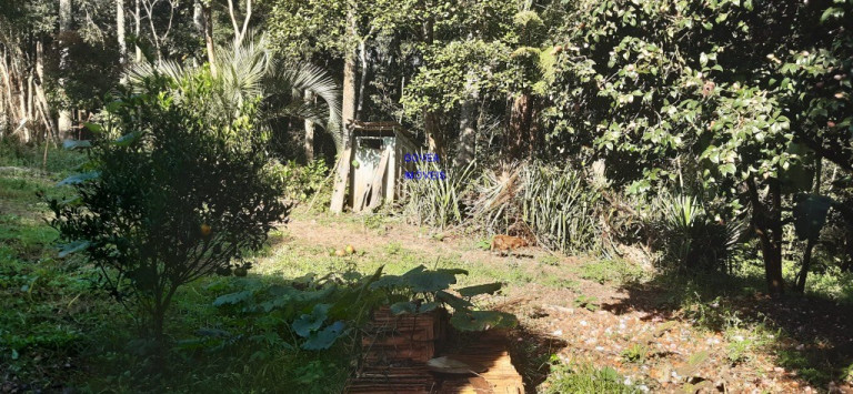 Imagem Imóvel com 2 Quartos à Venda, 6.000 m² em Rural - Contenda Imagem Imóvel com 2 Quartos à Venda, 6.000 m² em Rural - Contenda
