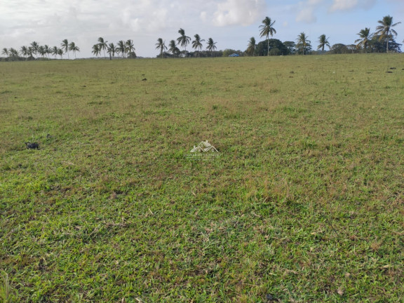 Imagem Imóvel à Venda, 5.324.000 m² em Pontal De Ipiranga - Linhares Imagem Imóvel à Venda, 5.324.000 m² em Pontal De Ipiranga - Linhares