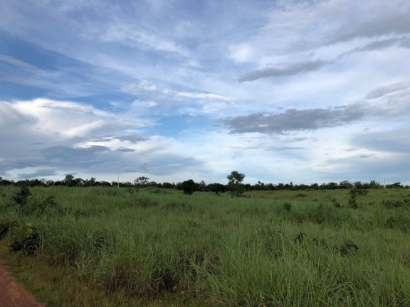 Imagem Fazenda à Venda,  em Rural - Figueirópolis