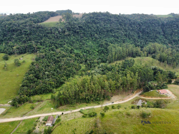 Imagem Fazenda à Venda, 87.500 m² em Centro - Witmarsum