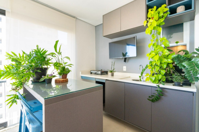 Imagem Apartamento com 2 Quartos à Venda, 68 m² em Vila Suzana - São Paulo Imagem Apartamento com 2 Quartos à Venda, 68 m² em Vila Suzana - São Paulo