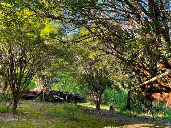 Imagem Chácara com 3 Quartos à Venda, 2 m² em Pedras - Itatiaiuçu Imagem Chácara com 3 Quartos à Venda, 2 m² em Pedras - Itatiaiuçu