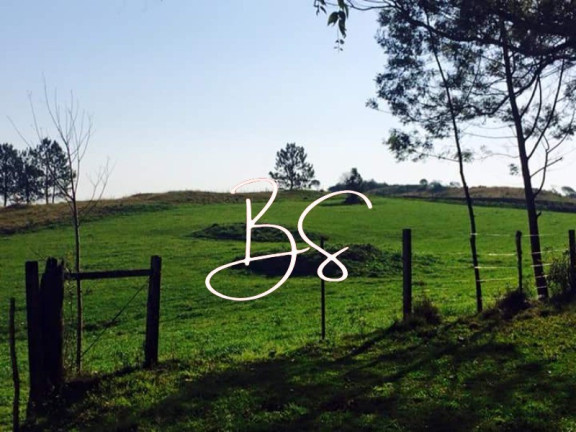 Imagem Imóvel com 3 Quartos à Venda, em Centro - Caxias Do Sul Imagem Imóvel com 3 Quartos à Venda, em Centro - Caxias Do Sul