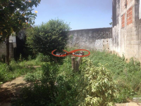 Imagem Terreno à Venda, 240 m² em Vila Santa Teresinha - São Paulo Imagem Terreno à Venda, 240 m² em Vila Santa Teresinha - São Paulo