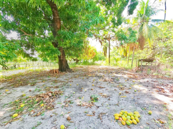 Imagem Terreno à Venda, 6.525 m² em Jacundá - Aquiraz