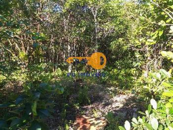 Imagem Chácara com 2 Quartos à Venda, 920 m² em Guaraguaçu - Pontal Do Paraná