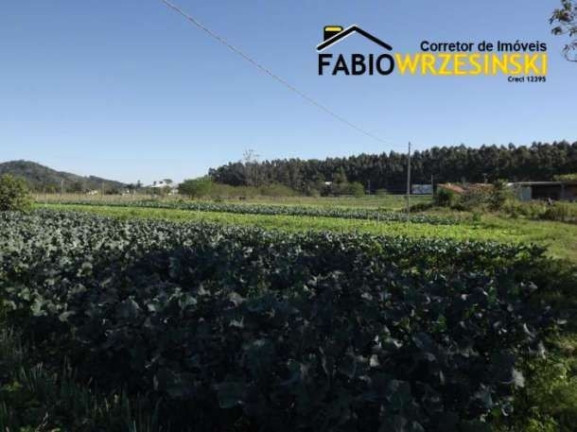 Imagem Terreno à Venda, 50.000 m² em Barra Itapocú - Araquari