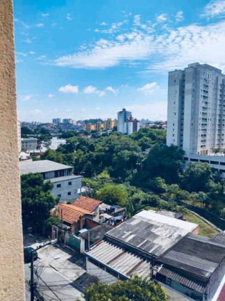 Imagem Apartamento com 2 Quartos à Venda, 52 m² em Jardim Casablanca (jardim Sao Luis) - São Paulo Imagem Apartamento com 2 Quartos à Venda, 52 m² em Jardim Casablanca (jardim Sao Luis) - São Paulo