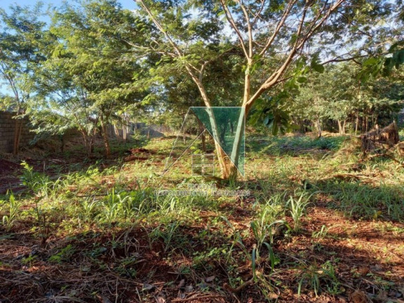 Imagem Terreno para Alugar, em Ribeirânia - Ribeirão Preto Imagem Terreno para Alugar, em Ribeirânia - Ribeirão Preto