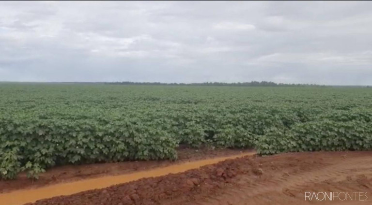 Imagem Fazenda à Venda, 34.060.000 m² em Zona Rural - Novo São Joaquim Imagem Fazenda à Venda, 34.060.000 m² em Zona Rural - Novo São Joaquim