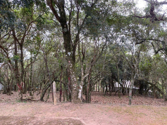 Imagem Imóvel à Venda, 1.575 m² em Vila De São Fernando - Cotia Imagem Imóvel à Venda, 1.575 m² em Vila De São Fernando - Cotia