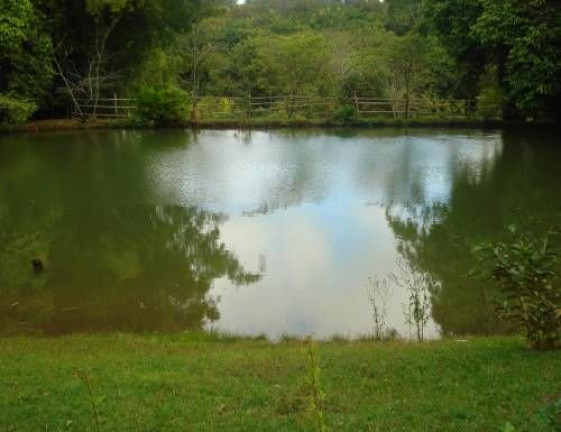 Imagem Imóvel com 5 Quartos à Venda, 300 m² em Fazenda Velha - Cesário Lange Imagem Imóvel com 5 Quartos à Venda, 300 m² em Fazenda Velha - Cesário Lange