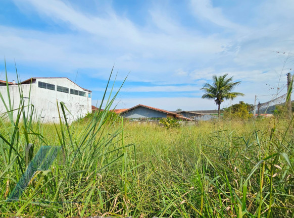 Imagem Terreno à Venda, 750 m² em Praia Grande - Ubatuba