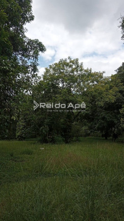 Imagem Chácara com 4 Quartos à Venda, 6.000 m² Imagem Chácara com 4 Quartos à Venda, 6.000 m²