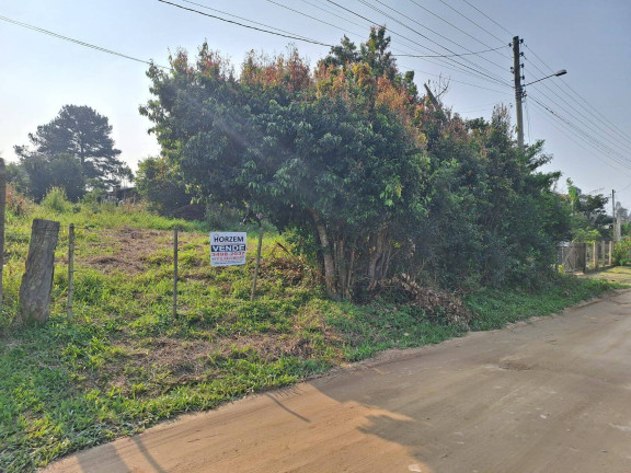 Imagem Terreno à Venda, 850 m² em Fiuza - Viamão
