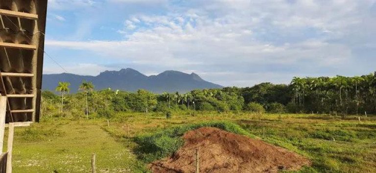 Imagem Imóvel com 2 Quartos à Venda, 111.000 m² em Alexandra - Paranagua Imagem Imóvel com 2 Quartos à Venda, 111.000 m² em Alexandra - Paranagua
