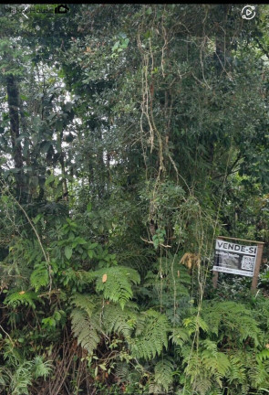 Imagem Terreno à Venda, 360 m² em Nereidas - Guaratuba Imagem Terreno à Venda, 360 m² em Nereidas - Guaratuba
