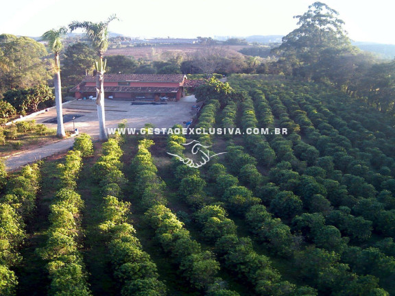 Imagem Chácara com 6 Quartos à Venda, 48.400 m² em Zona Rural - Morungaba Imagem Chácara com 6 Quartos à Venda, 48.400 m² em Zona Rural - Morungaba