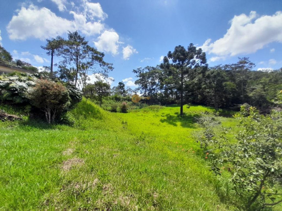 Imagem Casa com 3 Quartos à Venda, 6.740 m² em Santa Rita - Teresópolis Imagem Casa com 3 Quartos à Venda, 6.740 m² em Santa Rita - Teresópolis