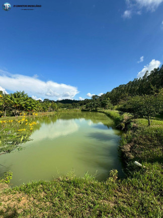 Imagem Chácara com 6 Quartos à Venda, 55.000 m² em Belo Oriente Imagem Chácara com 6 Quartos à Venda, 55.000 m² em Belo Oriente