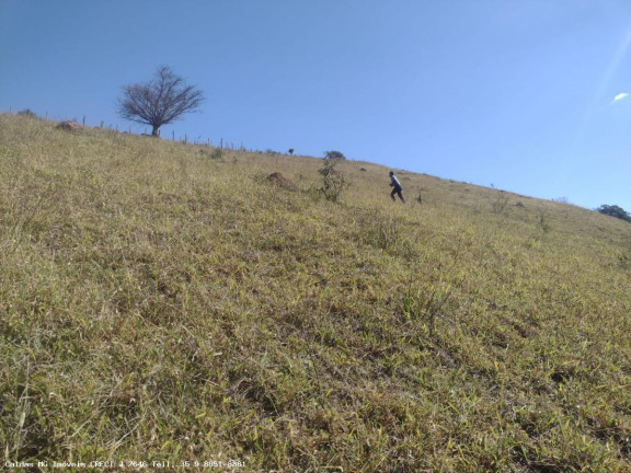 Imagem Chácara à Venda, 44.800 m² em Santo Antônio De Caldas - Caldas Imagem Chácara à Venda, 44.800 m² em Santo Antônio De Caldas - Caldas