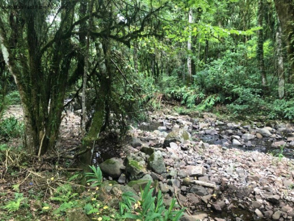 Imagem Imóvel com 2 Quartos à Venda, 80 m² em Linha Pirajá Baixa - Nova Petrópolis