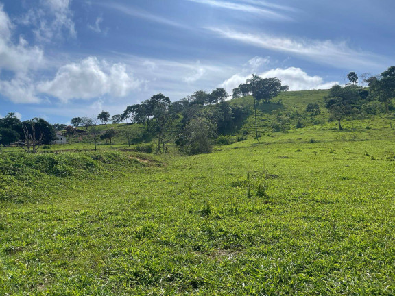 Imagem Chácara à Venda, 12 m² em Zona Rural - Vianópolis Imagem Chácara à Venda, 12 m² em Zona Rural - Vianópolis
