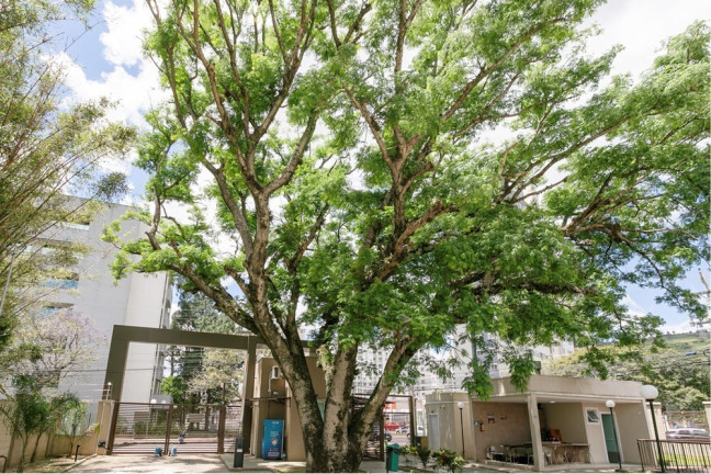 Imagem Imóvel com 2 Quartos à Venda, 44 m² em Morro Santana - Porto Alegre Imagem Imóvel com 2 Quartos à Venda, 44 m² em Morro Santana - Porto Alegre