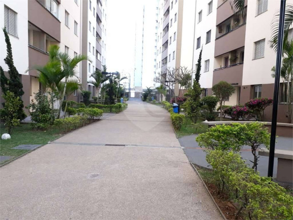 Imagem Apartamento com 2 Quartos para Alugar, 52 m² em Vila Bela - São Paulo Imagem Apartamento com 2 Quartos para Alugar, 52 m² em Vila Bela - São Paulo