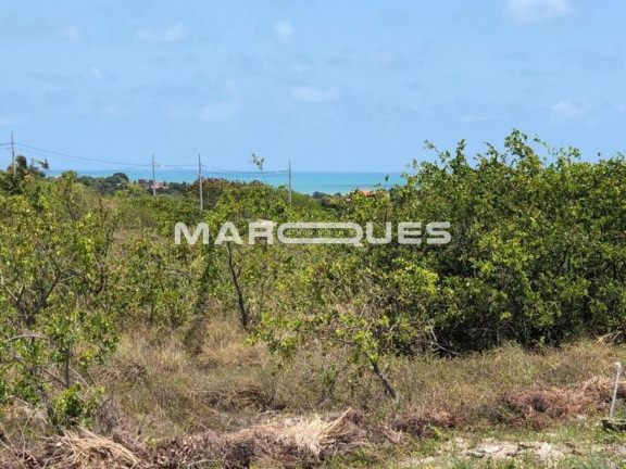 Imagem Terreno à Venda, 300 m² em Jacumã - Conde