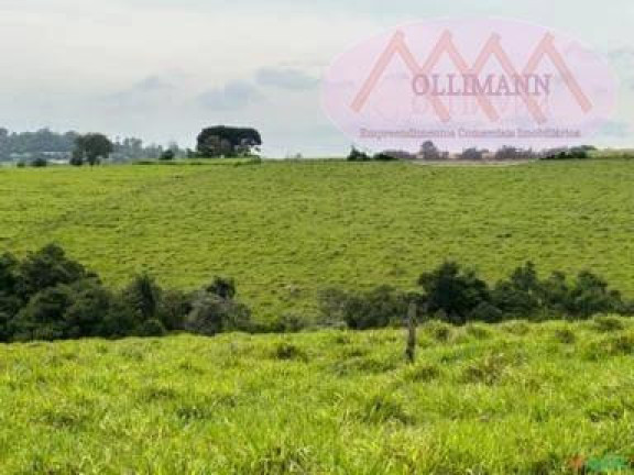 Imagem Terreno à Venda, 87 m² em Capela Do Alto - Capela Do Alto