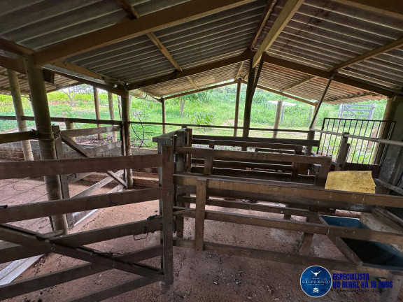 Imagem Chácara à Venda, 40 m² em Zona Rural - Petrolina De Goiás Imagem Chácara à Venda, 40 m² em Zona Rural - Petrolina De Goiás