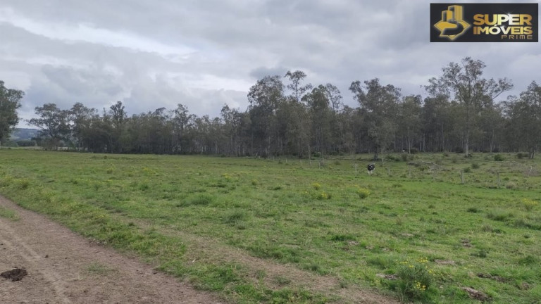 Imagem Imóvel com 3 Quartos à Venda, 660.000 m² em Zona Rural - Capão Do Leão