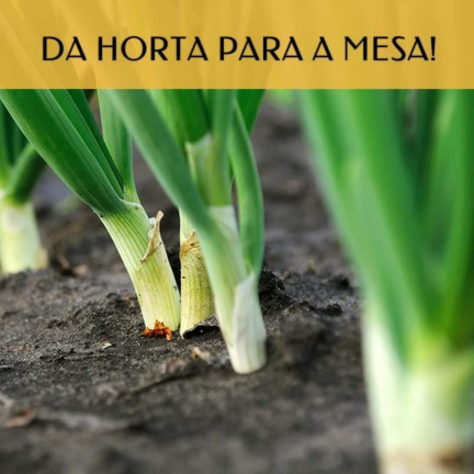 Imagem Terreno à Venda, 897 m² em Vale Alpino - Teresópolis Imagem Terreno à Venda, 897 m² em Vale Alpino - Teresópolis