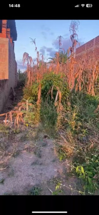 Imagem Terreno à Venda, 260 m² em Sitio Santo Antonio Dos Fernandes - Meruoca Imagem Terreno à Venda, 260 m² em Sitio Santo Antonio Dos Fernandes - Meruoca