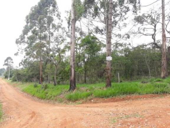 Imagem Terreno à Venda, 5.643 m² em Paruru - Ibiúna