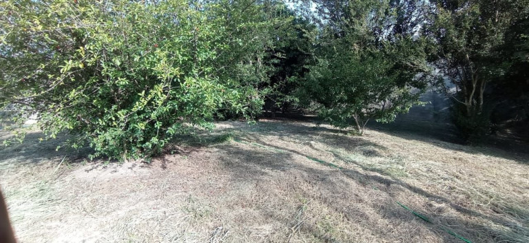 Imagem Chácara com 2 Quartos à Venda, 250 m² em Jardim Santo Antônio Da Boa Vista - Jacareí