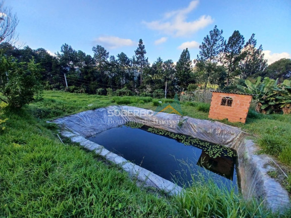 Imagem Imóvel com 1 Quarto à Venda, 123.000 m² em Vieira - Teresópolis Imagem Imóvel com 1 Quarto à Venda, 123.000 m² em Vieira - Teresópolis