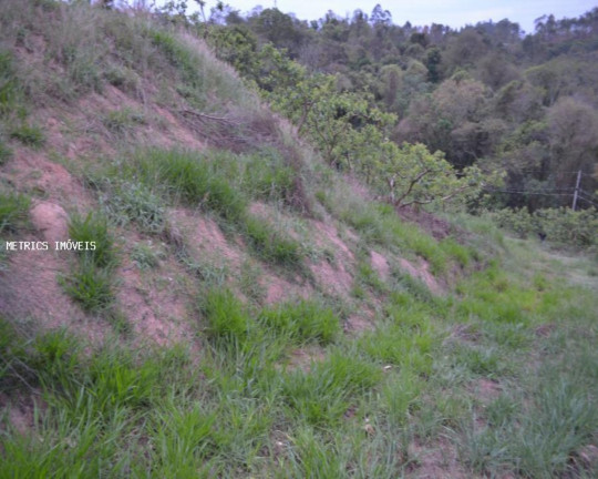 Imagem Imóvel à Venda, 5.000 m² em São José Da Pedra Santa - Jundiaí Imagem Imóvel à Venda, 5.000 m² em São José Da Pedra Santa - Jundiaí