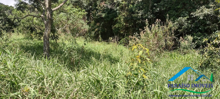 Imagem Terreno à Venda, 70 m² em Centro - Gonçalves