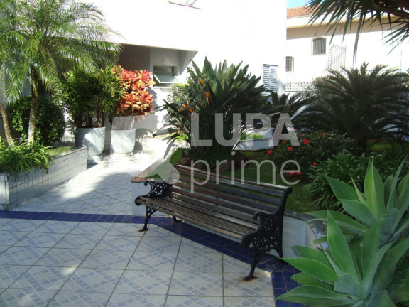 Imagem Apartamento com 3 Quartos à Venda, 138 m² em Vila Paulicéia - São Paulo Imagem Apartamento com 3 Quartos à Venda, 138 m² em Vila Paulicéia - São Paulo