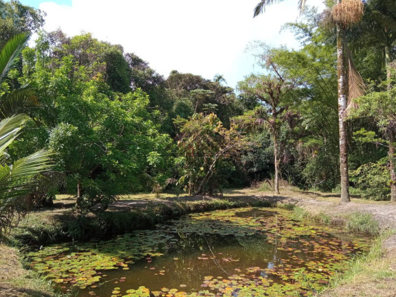 Imagem Chácara com 4 Quartos à Venda, 5.000 m² em Jardim Aguapeú - Itanhaém Imagem Chácara com 4 Quartos à Venda, 5.000 m² em Jardim Aguapeú - Itanhaém