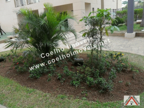 Imagem Apartamento com 2 Quartos à Venda, 59 m² em Interlagos - São Paulo Imagem Apartamento com 2 Quartos à Venda, 59 m² em Interlagos - São Paulo