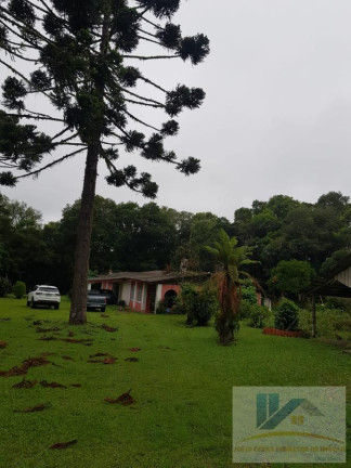 Imagem Chácara com 4 Quartos à Venda, 250 m² em Contenda - São José Dos Pinhais Imagem Chácara com 4 Quartos à Venda, 250 m² em Contenda - São José Dos Pinhais