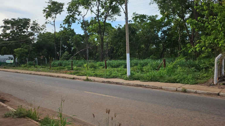 Imagem Terreno à Venda, 20.000 m² em Pedra 90 - Cuiabá Imagem Terreno à Venda, 20.000 m² em Pedra 90 - Cuiabá