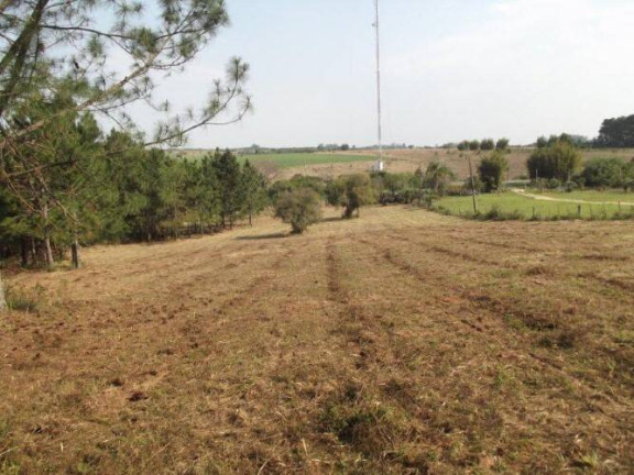 Terreno à Venda, 80.000 m² em águas Claras - Viamão
